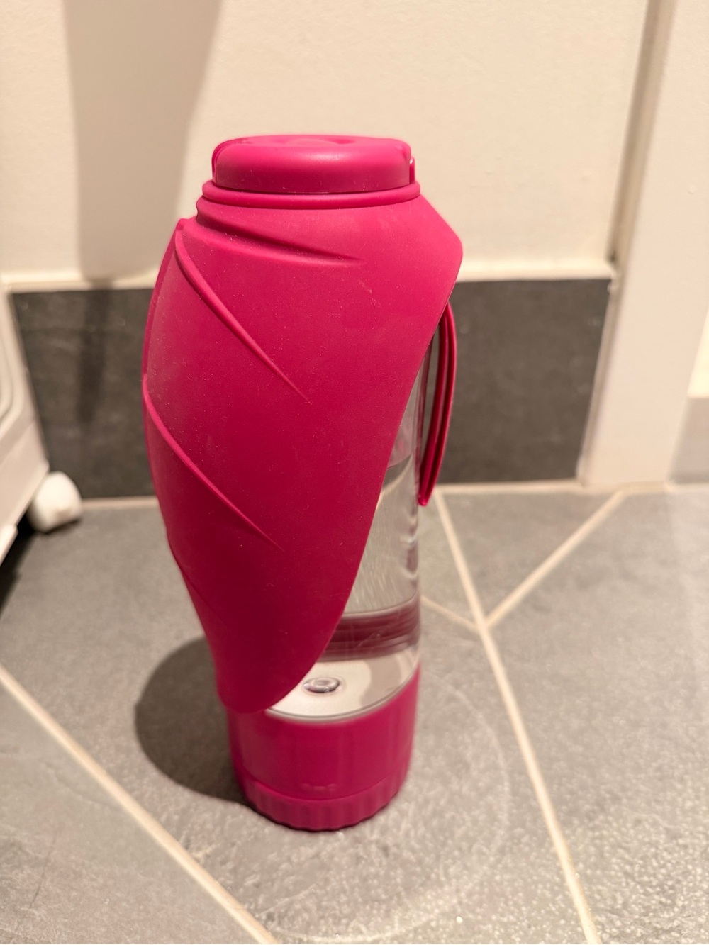 Pink Silicone Wrapped Glass Water Bottle - Stylish Dog Accessory